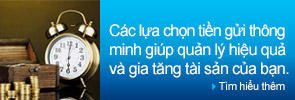 Các lựa chọn tiền gửi thông minh giúp quản lý hiệu quả và gia tăng tài sản của bạn.